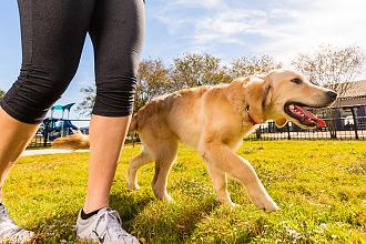 Derby Dog Park