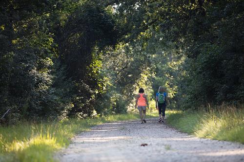 Johnson Development Practices Rooted in Tree Preservation