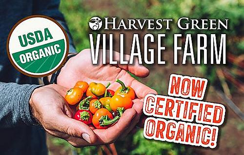 Harvest Green Farm Gains Certified Organic Designation