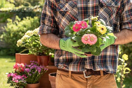 Spring Clean For a Beautiful Landscape
