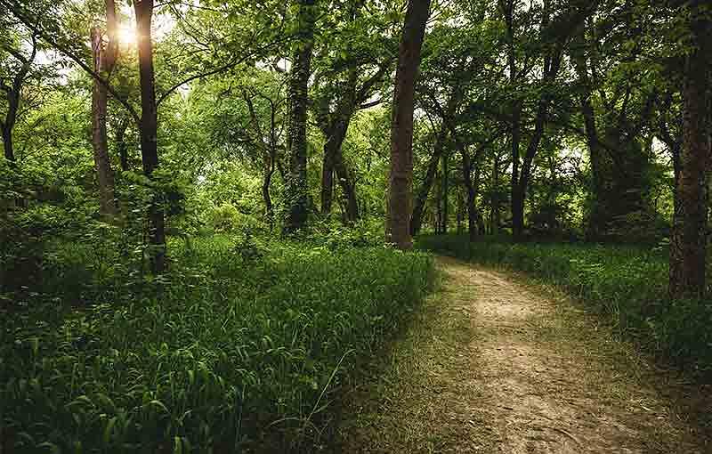 Trinity Falls Community Photo 2