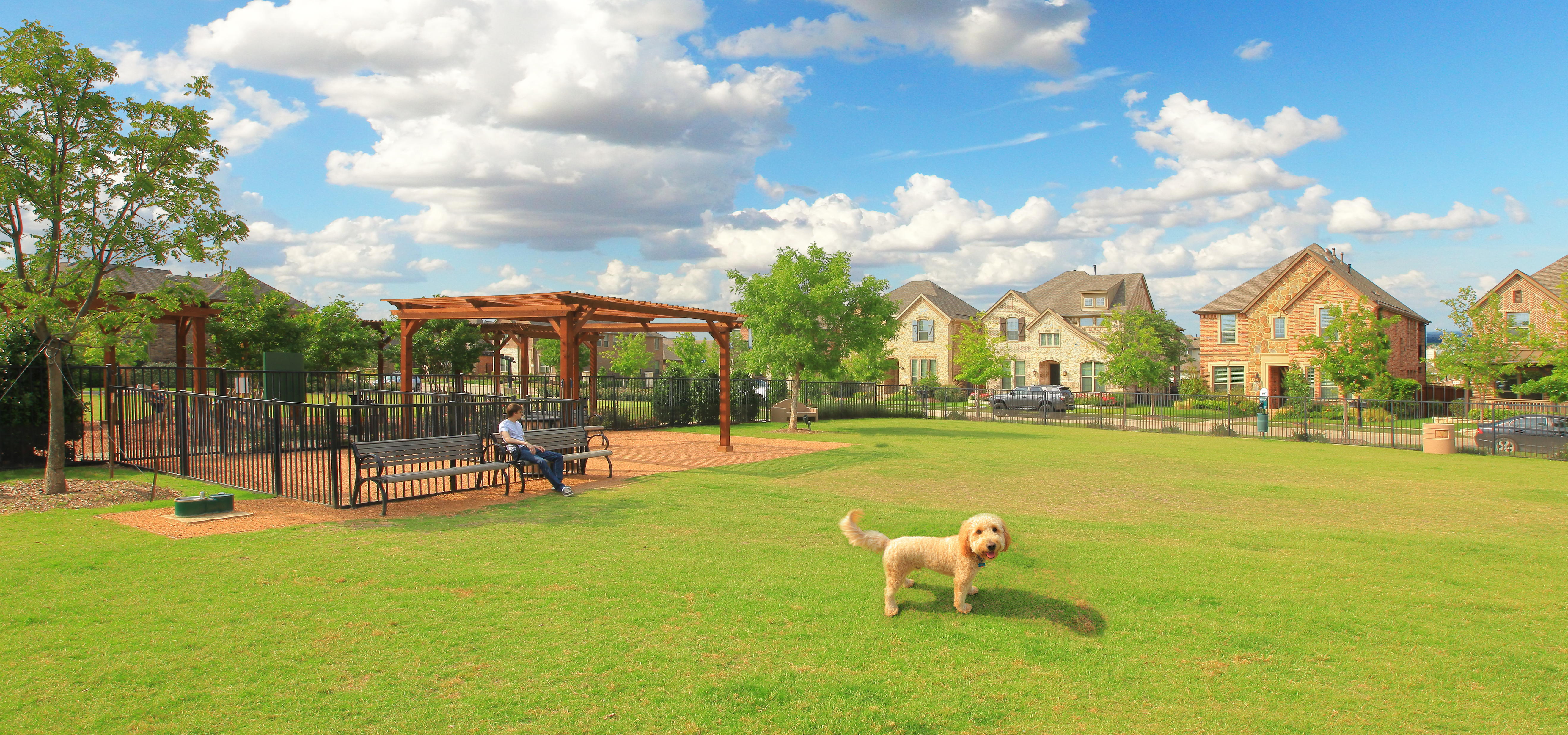 Dog at the Park in Viridian in Arlington, TX